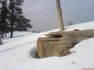 tisi lbark ali nemeur