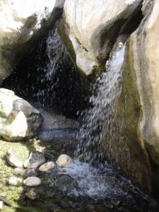 Ah Frah (Ain Zaatout) Ain Sh'qa