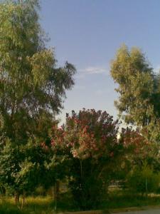 haie el mojahidine bisaka