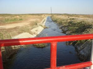 ???? ???? ??? lassaad kara