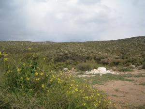 Ah Frah (Ain Zaatout) Adhrer