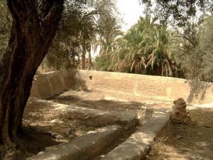 Ah Frah (Ain Zaatout) Laghdir n'Fulqa