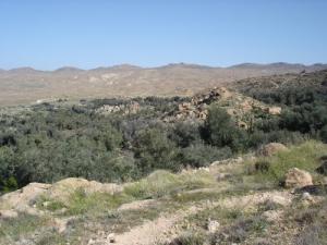 Ah Frah (Ain Zaatout) Djebalwa