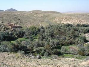 Ah Frah (Ain Zaatout) Bellala