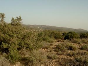 Ah Frah (Ain Zaatout) Adhrer