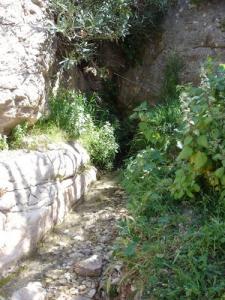 Ah Frah (Ain Zaatout) Thikhlilin