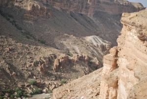 a hachane sanage neh yahia (44)