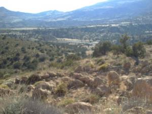 tadjmout?????? ??????