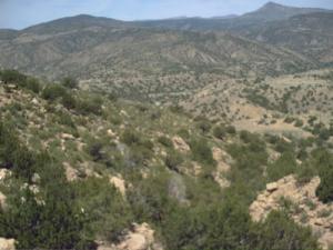 tadjmout?????? ????? ?????? ?? ?????