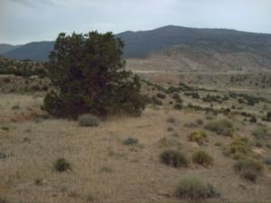 tadjmout?????? ????? ?????? ?????