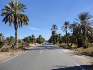 (chour mearris )vers arris