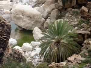 Tajjmint refuge de la Kahina