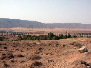 Ain Sefra est à l\'extrémité des montagnes de l\'Atlas, près du massif du Djébel Mekter