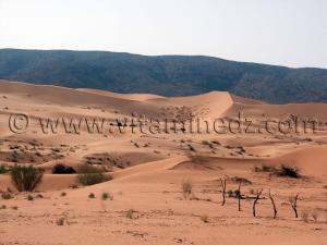 Ain Sefra photos  Dunes du Mekhter