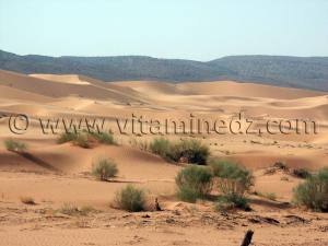 Photo Ain Sefra   montagnes, dunes et oasis se croisent et forment des sites pittoresques uniques.