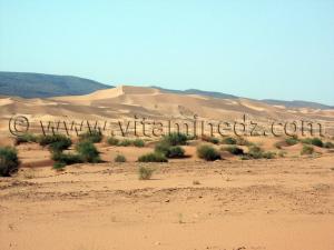 Photo dunes dorées d\'Ain Sefra