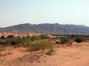 Ain Sefra photos Du trekking pour accéder aux sites des gravures rupestres au tumulus