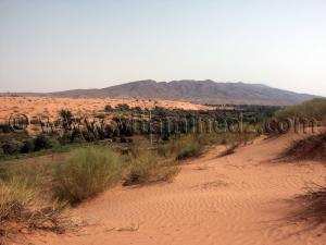 Tourisme Ain Sefra photos  Aïn Safra est une commune de la wilaya de Naâma en Algérie