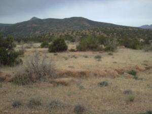 tadjmout?????? ????? ?????? ??????