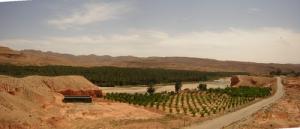 Entre l'attachement à la terre et l'enracinnement social, Mchouneche se situe aux pieds de l'Atlas saharien