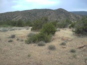 tadjmout?????? ????? ??????