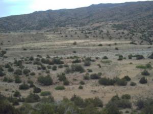 tadjmout ?????? ?????