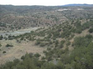 tadjmout?????? ???????