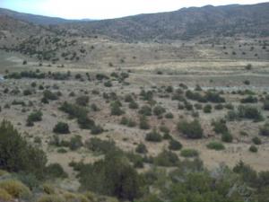 tadjmout ?????? ?????