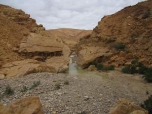 hala ou cherchare felmeche