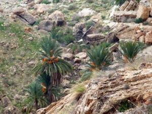 Thajmunt refuge de la Kahina
