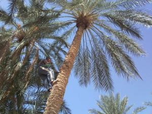 Ali en communication