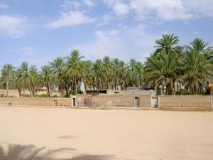 Ouled Djellal (summer 2009)