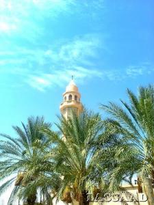 lassaad kara mchouneche