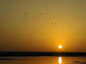 le couché de soleil à Ouargla