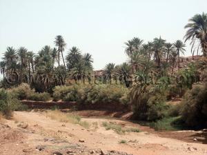 Tiout, commune de la wilaya de Naâma en Algérie