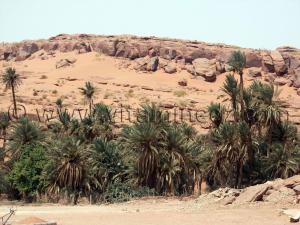 Oued Tiout (Naama) , et sa palmeraie