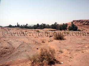 Lit de Oued Tiout 12 Juillet 2005