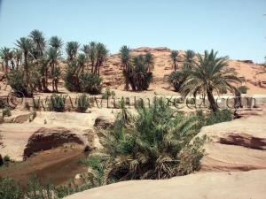 Le barrage de TIOUT à Naama, premier barrage construit en Algérie au début du 14 eme siècle