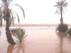 oued saoura igli