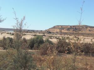 bouyahyaoui abdelali igli bechar