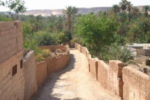 Palmeraie de Béni Abbes