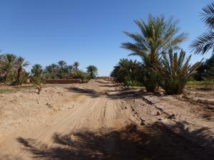 MS6 - Merzouga Mahmid - Er Remlia