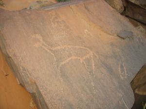 Taghit gravures rupestres