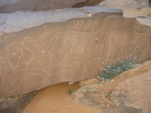 Taghit gravures rupestres