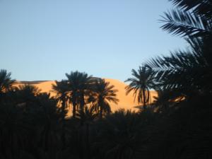Taghit Palmeraie