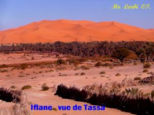 IGLI Saoura IFLANE vue de TASSA