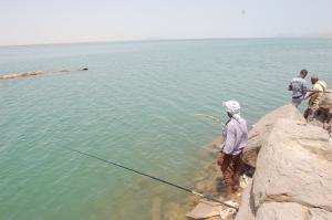 les pecheurs de nchiha kerzaz