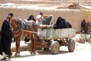 Harem in the Rissanni's market