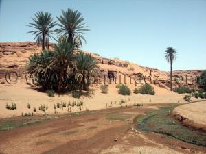 Tiout, oued Tiout (Wilaya de Naama)