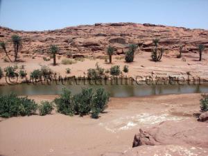 Oued Tiout, Oasis du Sud Ouest Algerien (Wilaya de Naama)